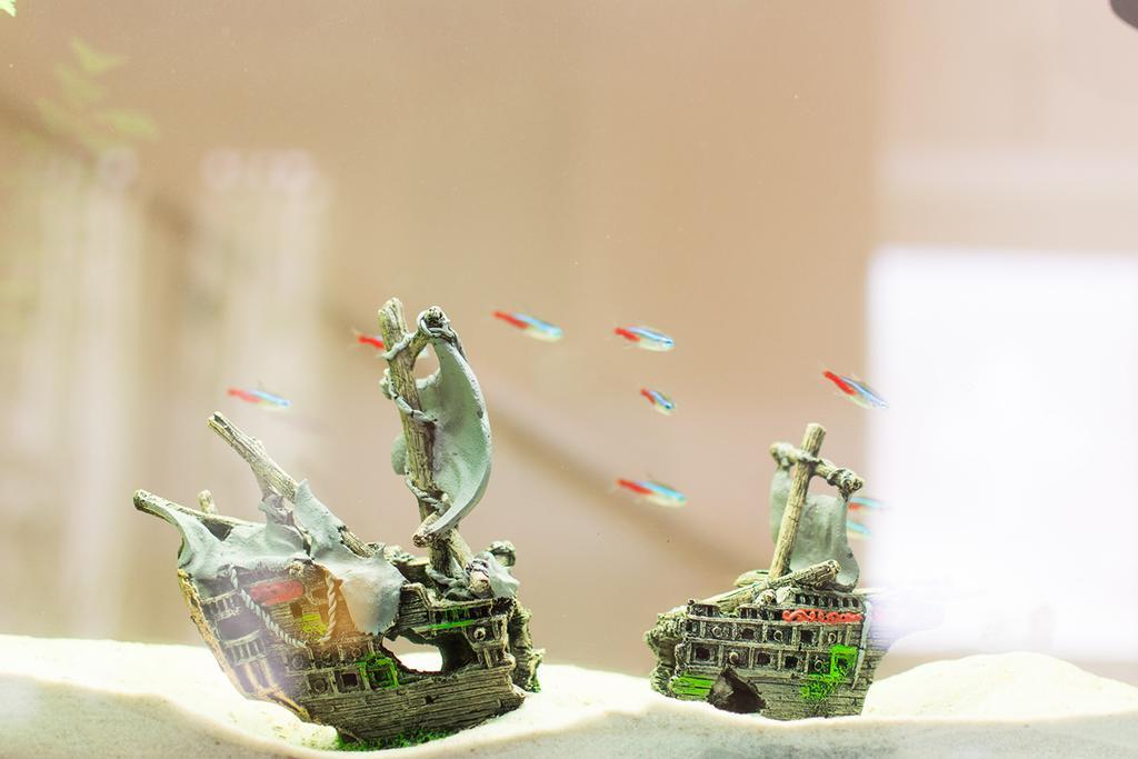 Il Giglio Verde Porto Sant'Elpidio Ngoại thất bức ảnh